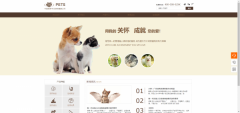 企業(yè)網站設計以情感化深入滿足了消費者的自身情感需求
