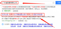 陽春市永寧鎮(zhèn)仙露山泉水有限公司與我司做網(wǎng)站推廣項(xiàng)目