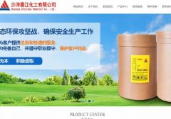 沙洋秦*化工有限公司建網(wǎng)站新一代自助建站、智能建站系統(tǒng)