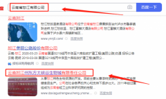 云南怒江州東*大峽谷生物城有限責(zé)任公司網(wǎng)站建設(shè)新一代自助建站、智能建站系統(tǒng)