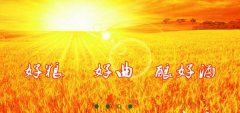 山東省梁山縣徐*生物工程有限公司網(wǎng)站建設(shè)新一代自助建站、智能建站系統(tǒng)