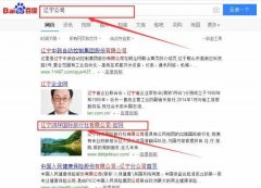 遼寧*祥國(guó)際旅行社有限公司網(wǎng)站建設(shè)營(yíng)銷(xiāo)型案例作品