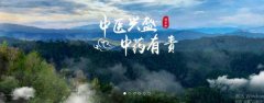 普洱淞*醫(yī)藥集團(tuán)有限公司網(wǎng)站建設(shè)新一代自助建站、智能建站系統(tǒng)