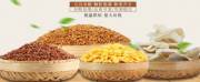 蕪湖沫*食品有限公司網(wǎng)站建設(shè)營(yíng)銷(xiāo)型案例作品