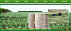 廣西玉林市長*劍麻有限公司企業(yè)網(wǎng)站建設(shè)新一代自助建站、智能建站系統(tǒng)