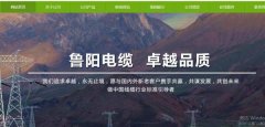 山東陽(yáng)谷*陽(yáng)電纜有限公司網(wǎng)站設(shè)計(jì)營(yíng)銷(xiāo)型案例作品